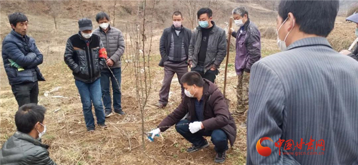 【甘肅全民戰(zhàn)“疫”】隴南徽縣：花椒田里培訓(xùn)忙，戰(zhàn)疫春耕兩不誤