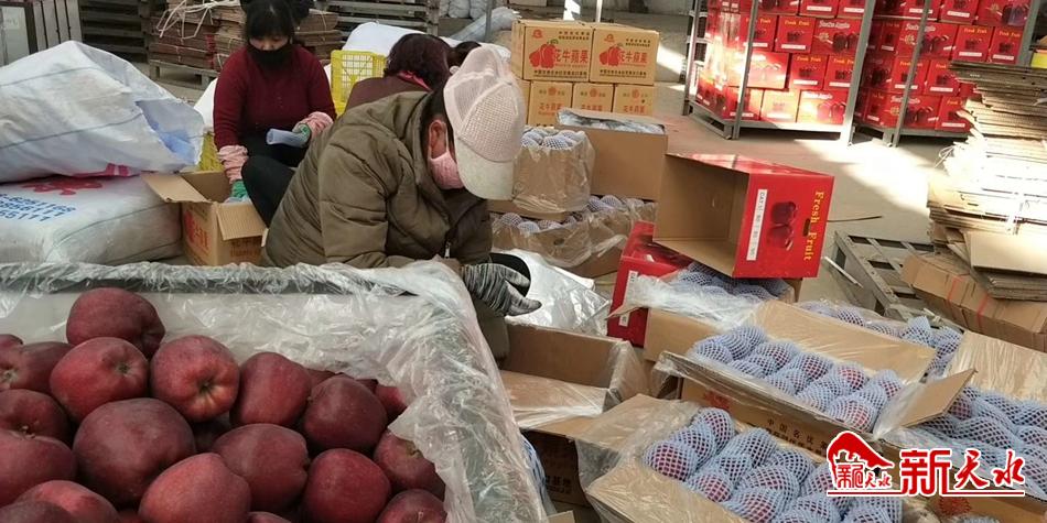 天水“花牛”最近有點“?！?>
        </a><em>天水“花?！弊罱悬c“?！?/em></li>
    <li><a  target=