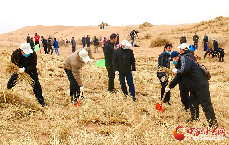 不“疫”樣的植樹節(jié)！甘肅省新聞戰(zhàn)線工作者攜手播綠“八步沙”（圖+視頻）