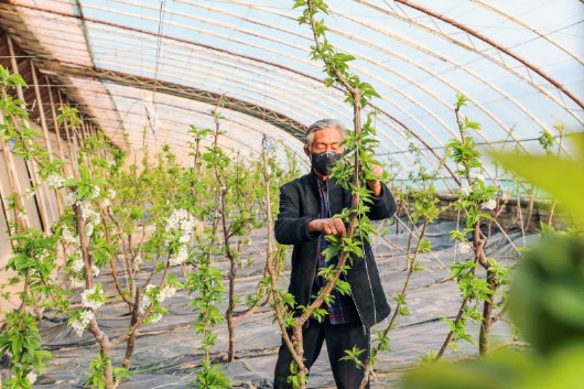 銅城復(fù)蘇：春光明媚，邀你共賞芳華（組圖）