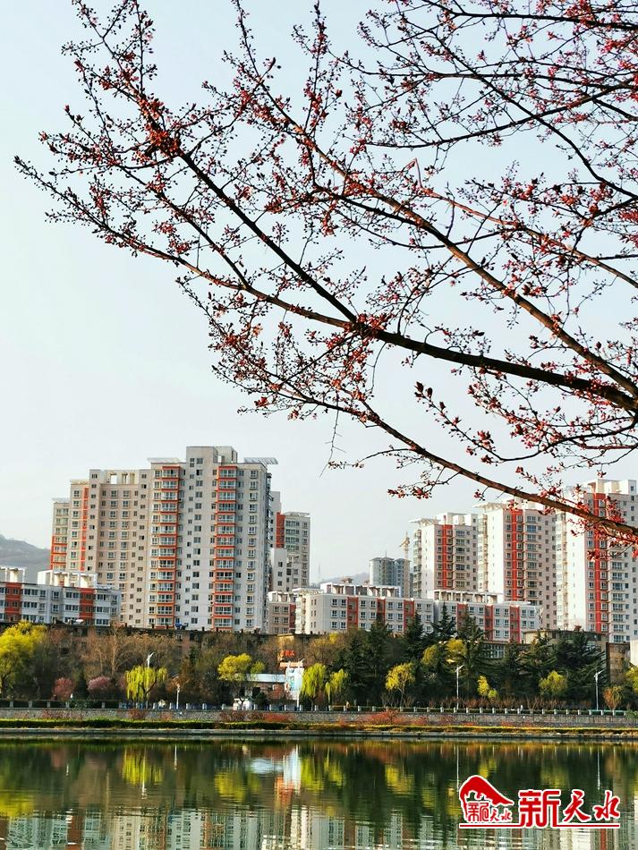 春天，古城天水的十個(gè)美麗瞬間