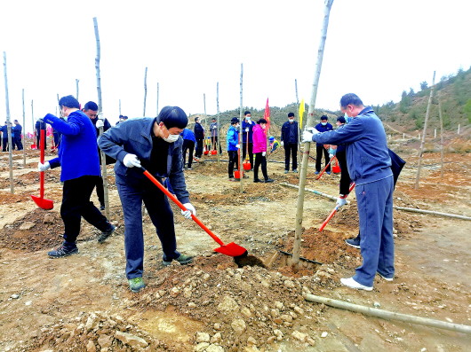 讓綠色在這里扎根——白銀平川區(qū)開展春季義務植樹造林活動側(cè)記
