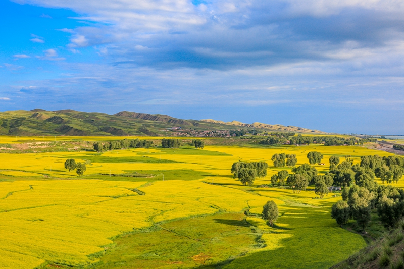 創(chuàng)意海報(bào)丨甘肅的美，你來(lái)了才知道
