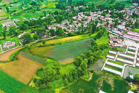 【溫暖的回響 滄桑巨變 飲水思源】這條路，通往幸福