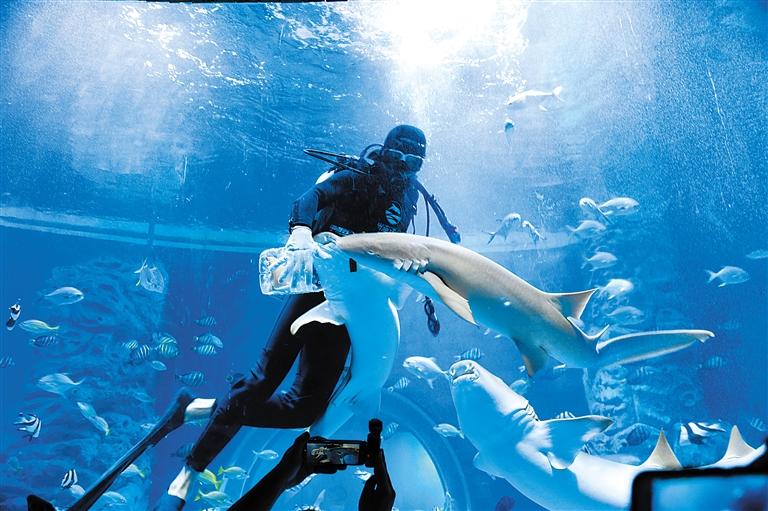 蘭州海洋公園 金昌火星1號基地 這個(gè)暑假我們“上天入?！?>
        </a><em>蘭州海洋公園 金昌火星1號基地 這個(gè)暑假我們“上天入?！?/em></li>
    <li><a  target=