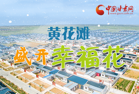 【跟著總書記看甘肅】長圖|武威黃花灘盛開幸?；?