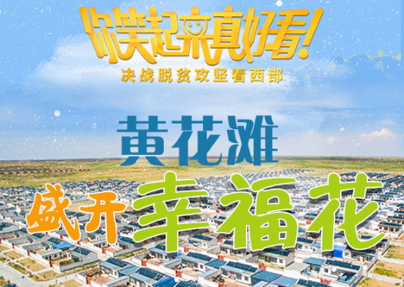 【你笑起來真好看】黃花灘盛開幸?；ǎ▓D解）