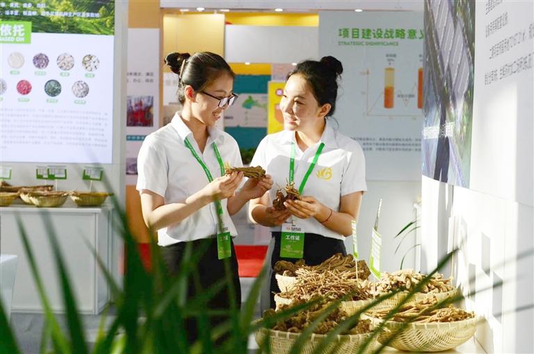 定西，從“千年藥鄉(xiāng)”邁向“中國(guó)藥都”