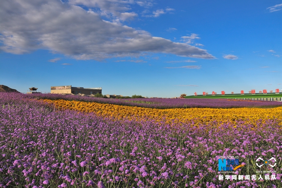 【“飛閱”中國(guó)】鳳凰花?！罢钩帷钡は伎?>
        </a><em>【“飛閱”中國(guó)】鳳凰花?！罢钩帷钡は伎?/em></li>
    <li><a  target=