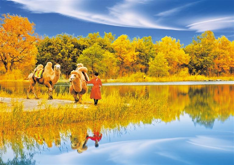 國(guó)慶長(zhǎng)假，去金塔遇見(jiàn)最美胡楊