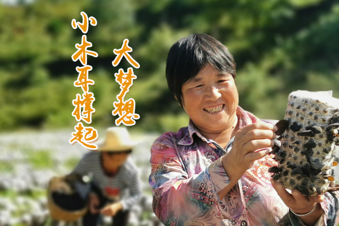 海報丨他們，乘“豐”破浪！