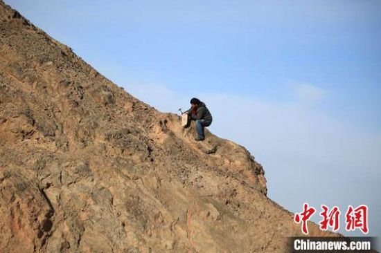 圖為敦煌“80后”畫家張杰龍在敦煌三危山里采集礦石顏料。(資料圖)受訪者供圖