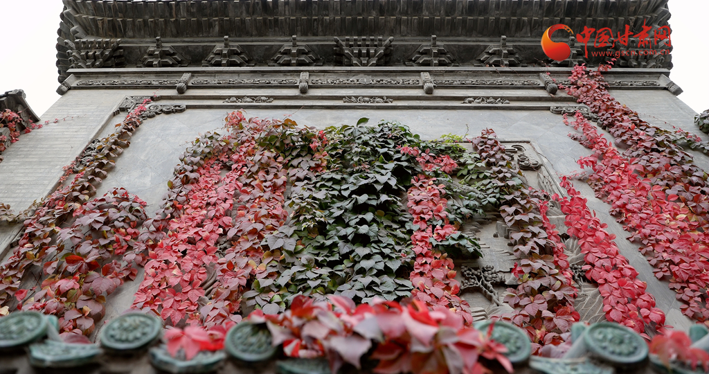 【巷見(jiàn)蘭州】七里河:小巷深處秋意濃