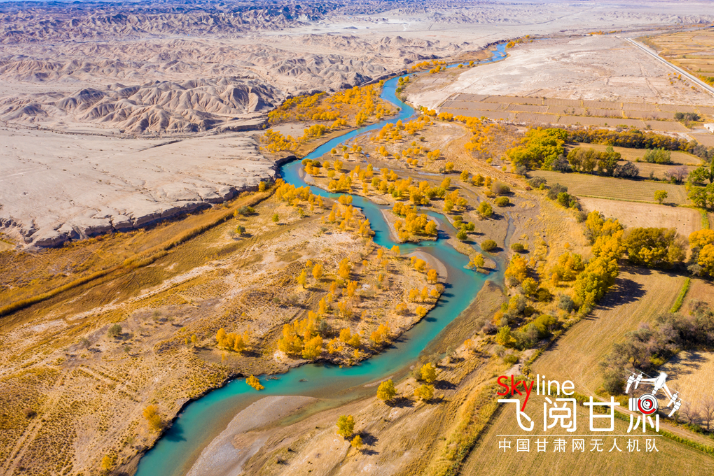 【飛閱甘肅】好美！疏勒河畔大地斑斕