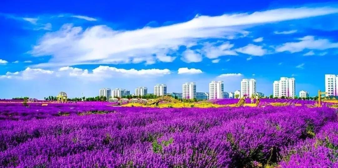 喜訊！金昌蟬聯(lián)全國(guó)文明城市