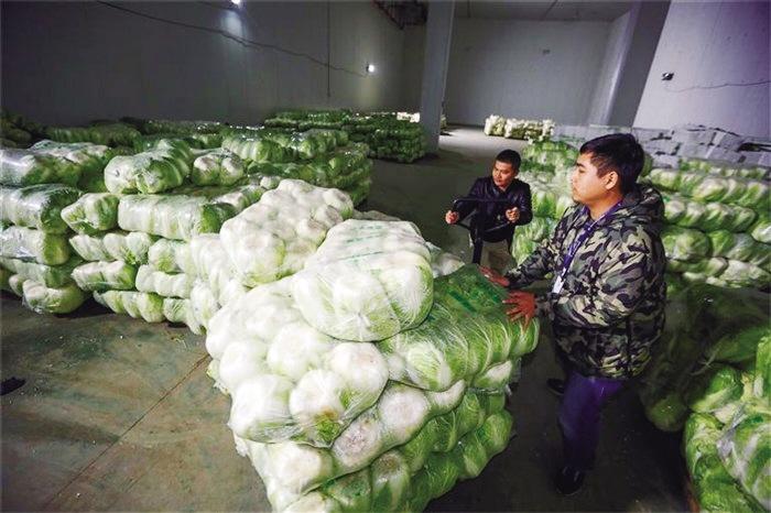 蘭州市已儲(chǔ)備1萬(wàn)噸冬春蔬菜以耐貯存、易周轉(zhuǎn)品種為主