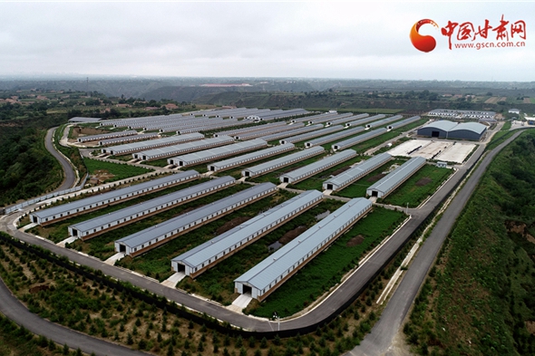 【擔(dān)使命 聚同心 促巨變 省直部門落實脫貧攻堅責(zé)任工作紀(jì)實】甘肅：綜合協(xié)調(diào)聚合力 堅持嚴(yán)把精準(zhǔn)退出關(guān)