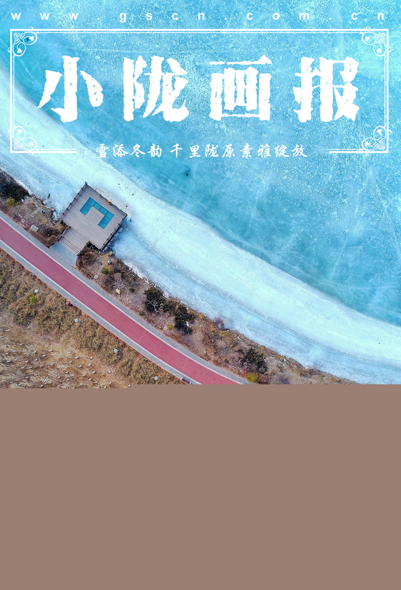 【小隴畫報·103期】雪添冬韻 千里隴原素雅綻放