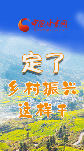 圖解|定了！全面推進(jìn)鄉(xiāng)村振興這樣干！