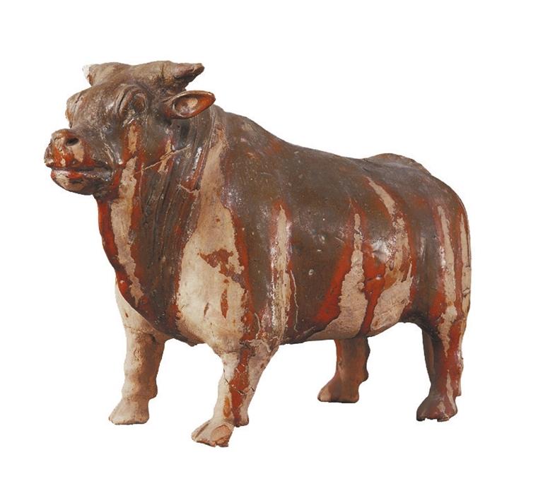 打開(kāi)眼界丨牛年看牛，越看越牛!