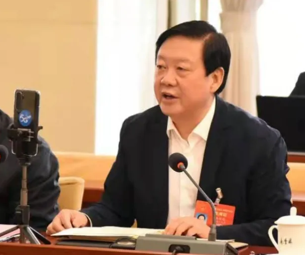 【聚焦2021全國兩會】全國人大代表、市委書記楊維俊接受中國日報記者采訪