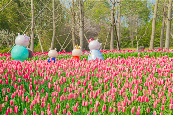 長(zhǎng)壽湖郁金香次第開(kāi)放。羅云希 攝