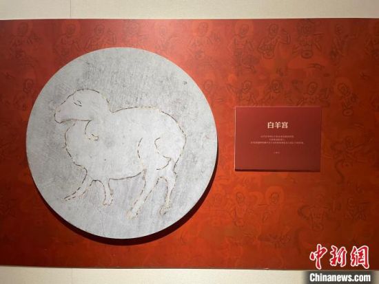 圖為展覽現(xiàn)場?！〗瓧顭?攝