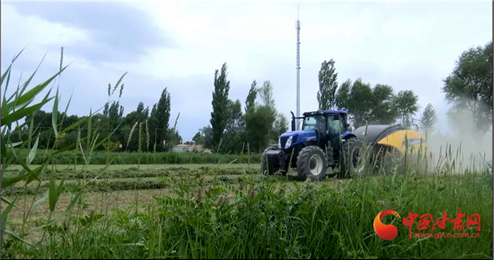 【小康圓夢·看甘肅】酒泉瓜州：現(xiàn)代農業(yè)體系構建蜜瓜大產業(yè)