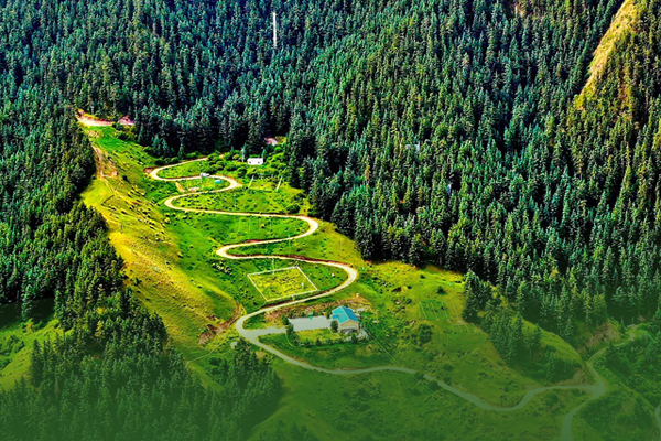 海報(bào)|祁連山保護(hù)區(qū)生態(tài)環(huán)境問題整改全面完成！