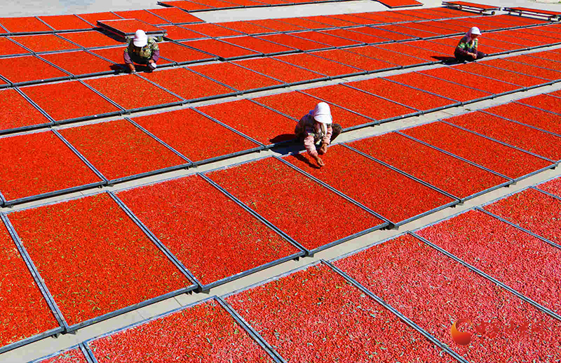 砥礪奮進(jìn)譜新篇——山丹縣經(jīng)濟(jì)社會發(fā)展綜述