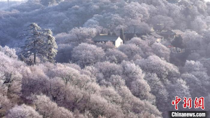圖為霧凇美景?！⌒煺袢A 攝