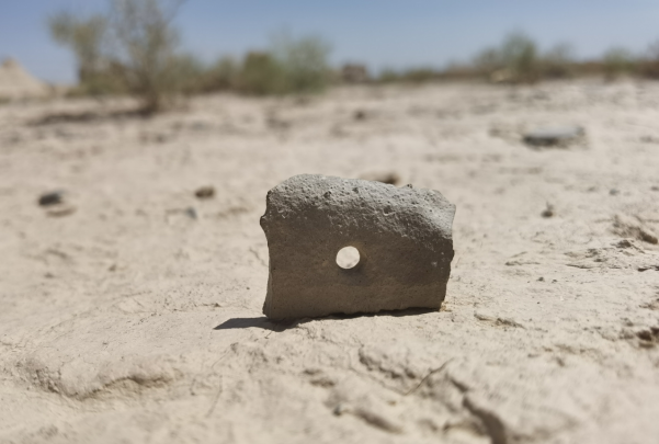 插圖1：河西走廊上遺存的古陶片。攝影：陳曉斌。拍攝日期：2020年6月。