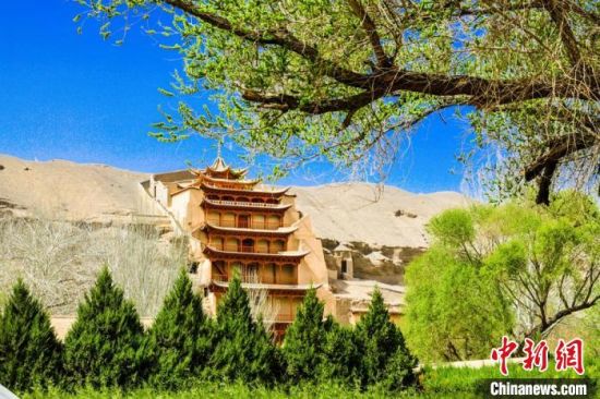 4月的敦煌莫高窟景區(qū)春意盎然。(資料圖) 王斌銀 攝