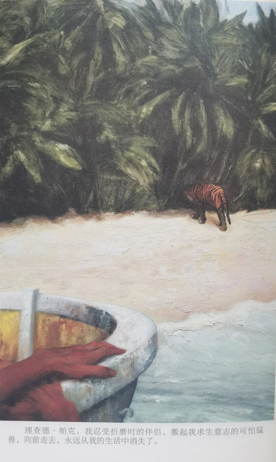 插圖3：揚？馬特爾的小說《少年pi的奇幻漂流》插圖