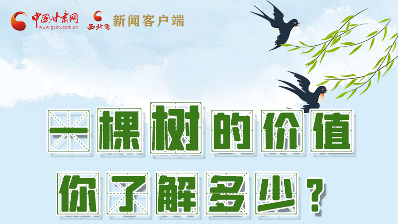 圖解|一棵樹的價(jià)值你了解多少?來(lái)看！