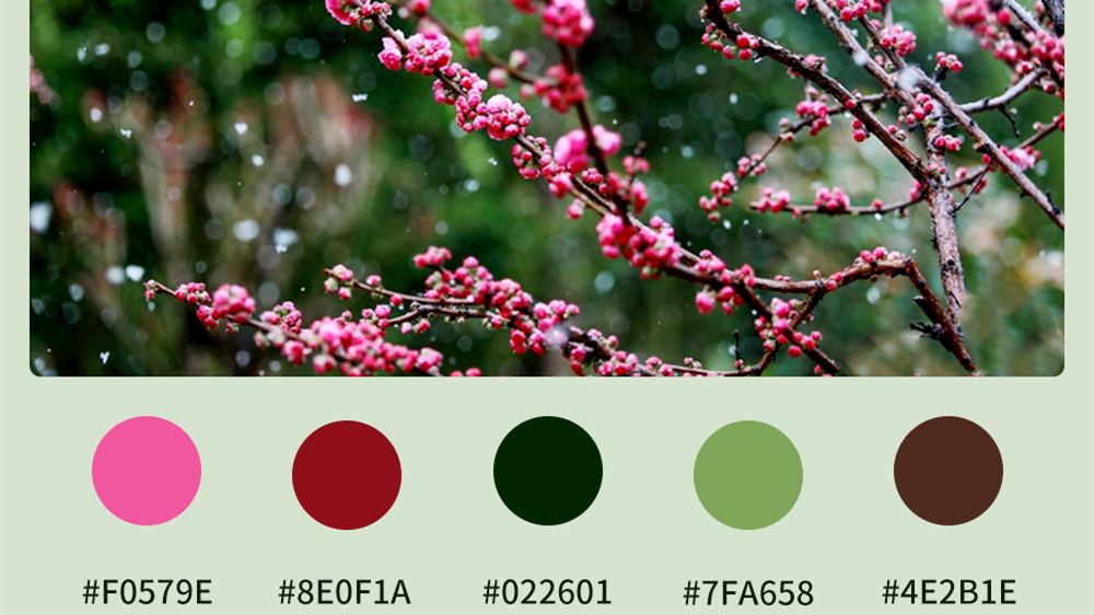 微海報(bào)|收藏！色卡里的春日甘肅