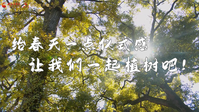 短視頻|給春天一點(diǎn)儀式感，讓我們一起植樹吧！