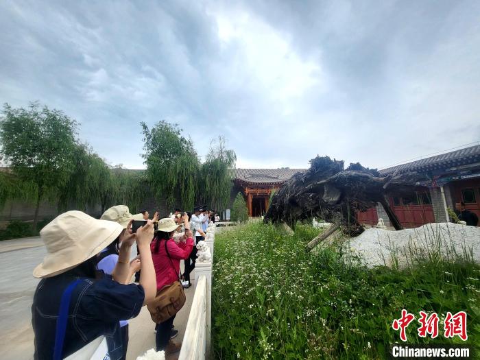 圖為媒體記者在青海永錄民俗參觀采訪?！⊙Φ?攝