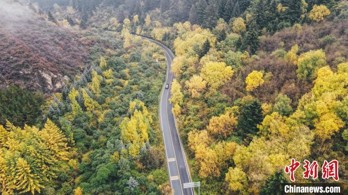 深秋，航拍位于蘭州市榆中縣的興隆山，景色如畫。金峯 攝</p>
<p>