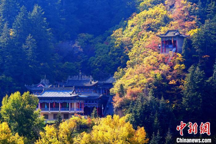 深秋，位于蘭州市榆中縣的興隆山景色如畫。宮衛(wèi)紅 攝