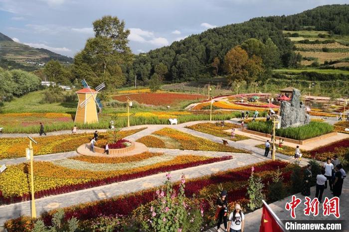 圖為航拍甘肅甘南臨潭縣八角鎮(zhèn)，花海吸引游人。(資料圖)高展 攝