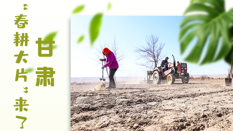 【甘快看】海報(bào)|瞧！甘肅“春耕大片”來了