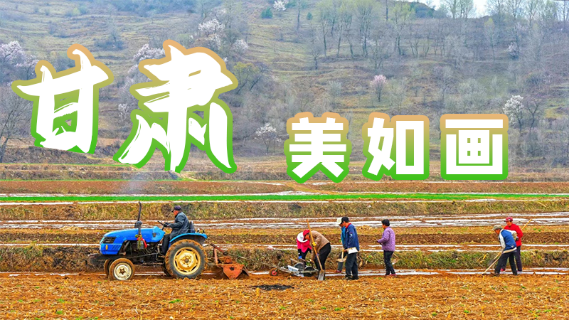 微海報(bào)|甘肅，美如畫