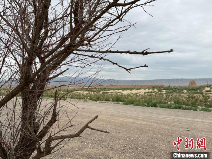 圖為位于長城墻體上的“馬面”或“敵臺”?！〈魑牟?攝