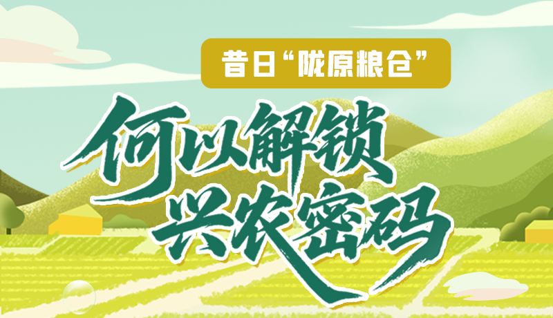 【理響中國·話隴點睛（3）】昔日“隴原糧倉”，何以解鎖“興農密碼”