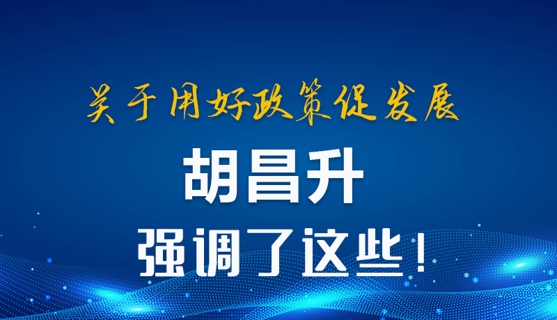 圖解|關(guān)于用好政策促發(fā)展 胡昌升強調(diào)了這些！