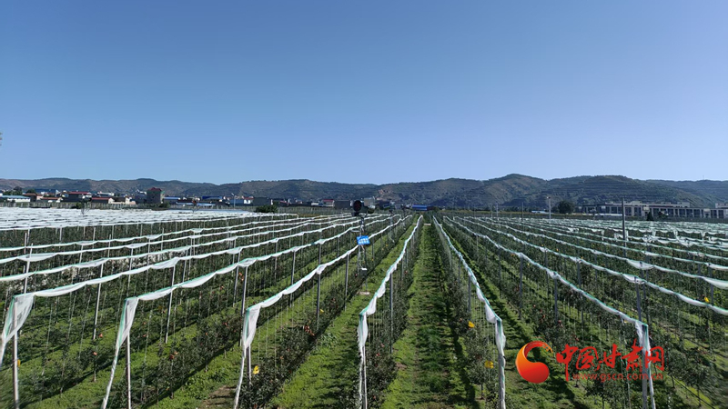 科技賦能 甘肅寒旱農(nóng)業(yè)發(fā)展再添新動能