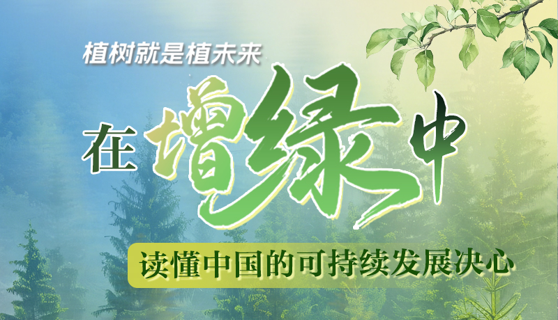 【理響中國 話隴點睛】植樹就是植未來，在增綠中讀懂中國的可持續(xù)發(fā)展決心